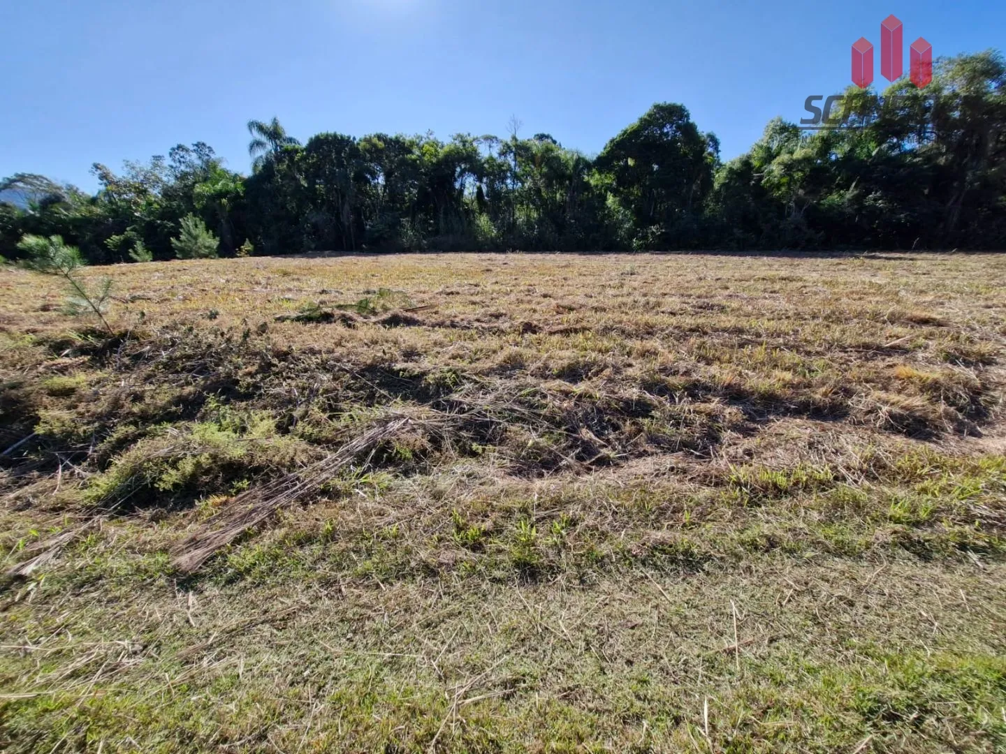 Terreno à venda no bairro Industrial em Timbó/SC — foto 5