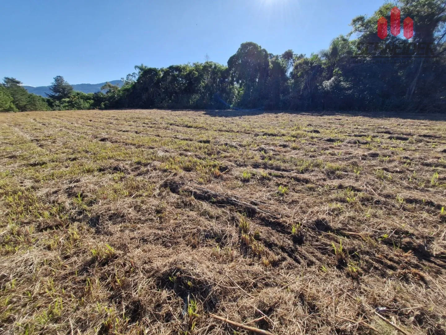 Terreno à venda no bairro Industrial em Timbó/SC — foto 6