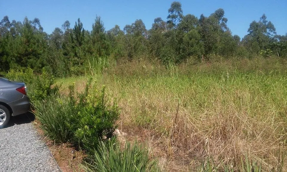 Terreno à venda no bairro Imigrantes em Timbó/SC — foto 6
