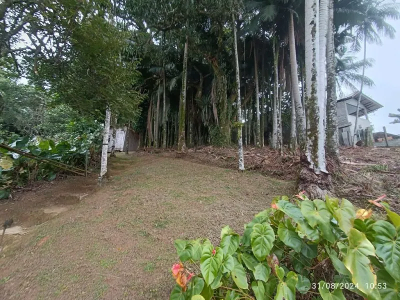 Terreno bem localizado na Escola Agricola — foto 3
