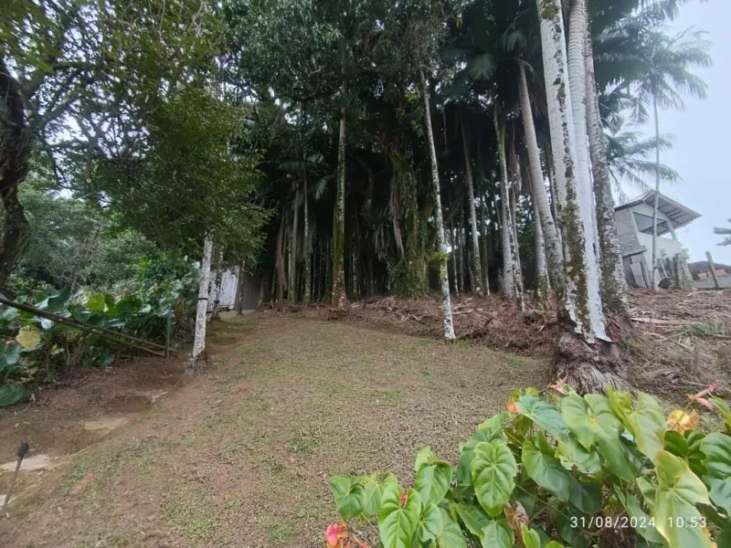 Terreno bem localizado na Escola Agricola — foto 4