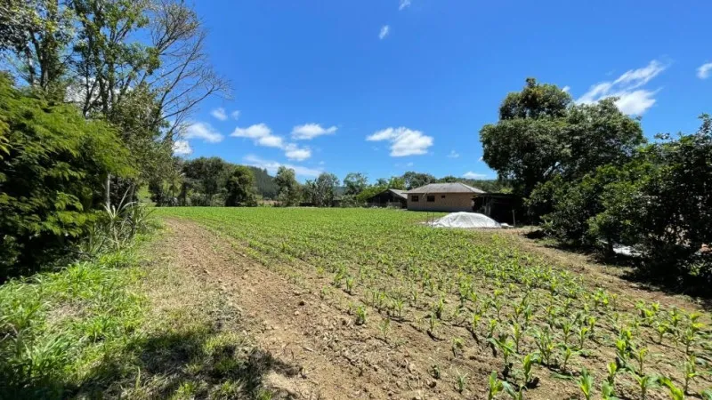 Casa com 3 dormitórios à venda, 156 m por R$ 980.000 - Centro - Doutor Pedrinho/SC - foto 1