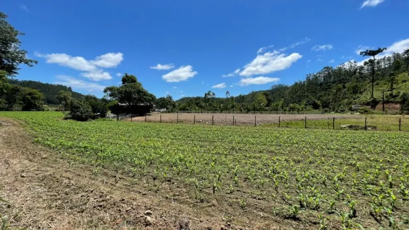 Casa com 3 dormitórios à venda, 156 m por R$ 980.000 - Centro - Doutor Pedrinho/SC — foto 3