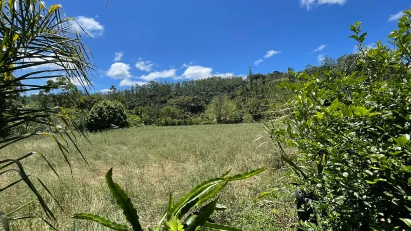 Casa com 3 dormitórios à venda, 156 m por R$ 980.000 - Centro - Doutor Pedrinho/SC — foto 7