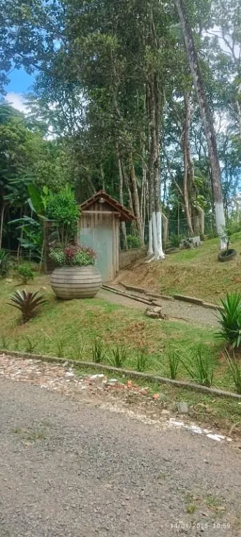 Paraiso para Amantes de Aves: Sitio com 20.000 m2 a Venda — foto 3