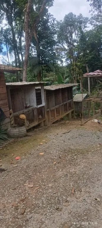 Paraiso para Amantes de Aves: Sitio com 20.000 m2 a Venda — foto 4