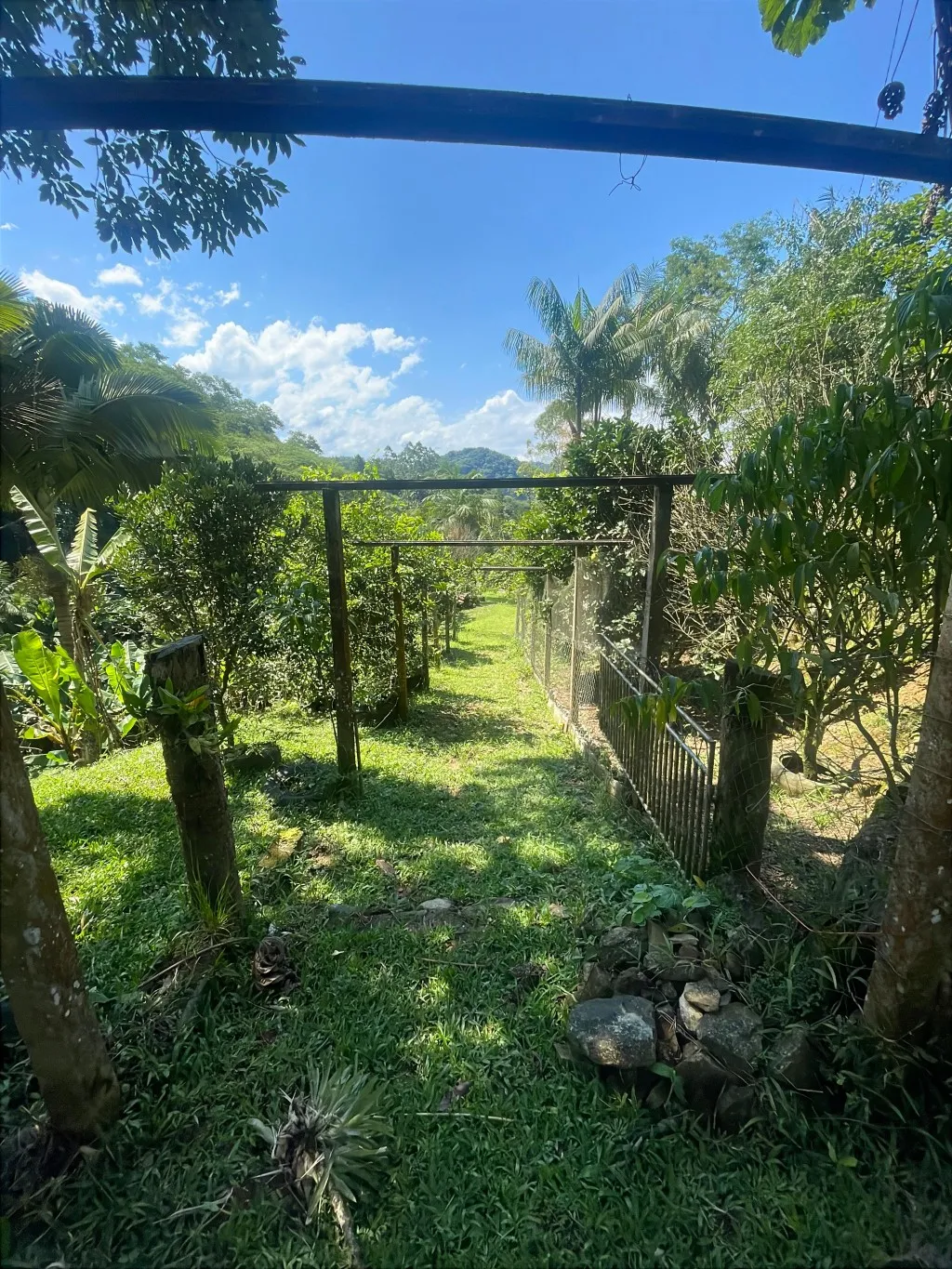 Sitio com potencial para Pousada - foto 1