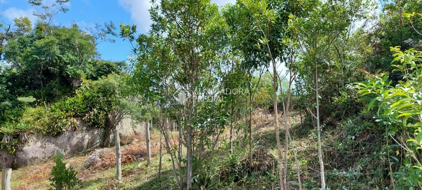 Imóvel — foto 5