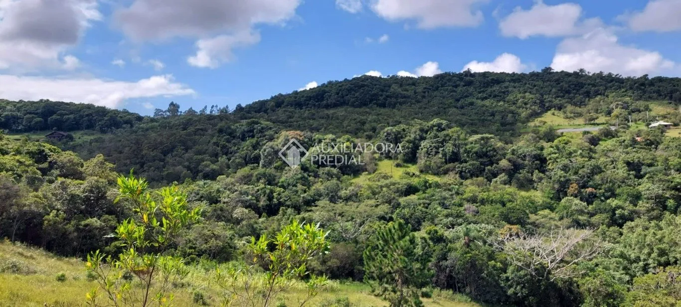 Imóvel — foto 6