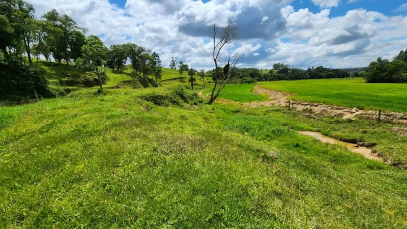 Sítio Encantador na Estrada Geral Ribeirão da Erva - Boa Vista, Taió (SC) — foto 3