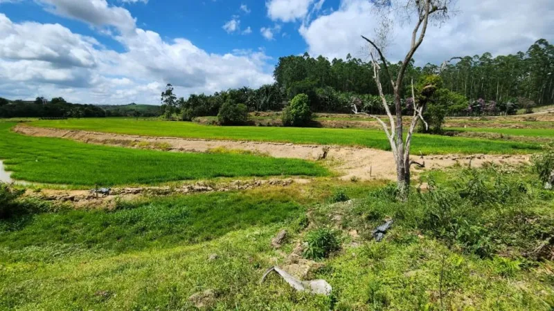 Sítio Encantador na Estrada Geral Ribeirão da Erva - Boa Vista, Taió (SC) — foto 4