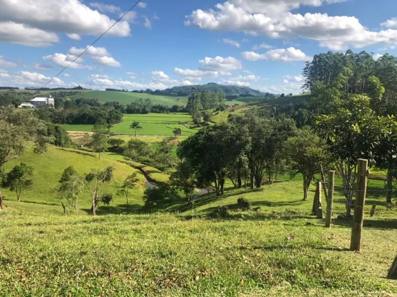Sítio Encantador na Estrada Geral Ribeirão da Erva - Boa Vista, Taió (SC) — foto 5