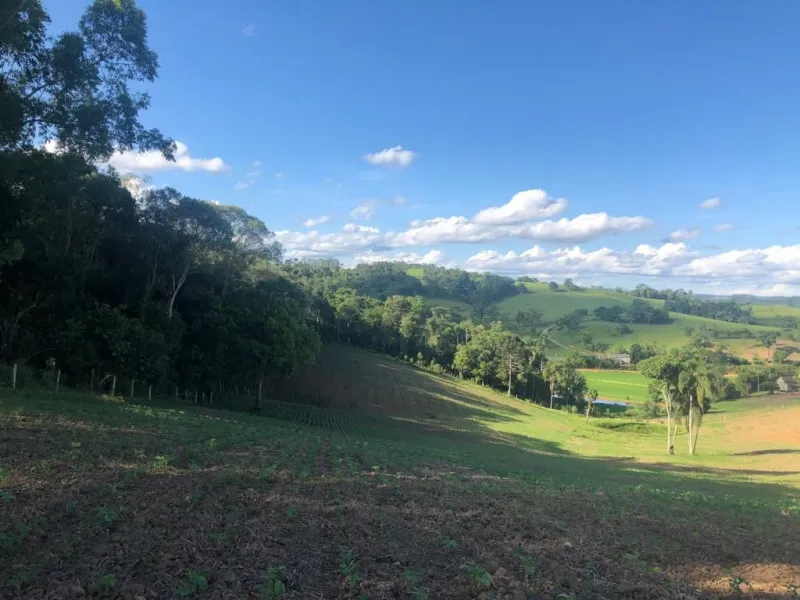 Sítio Encantador na Estrada Geral Ribeirão da Erva - Boa Vista, Taió (SC) — foto 7