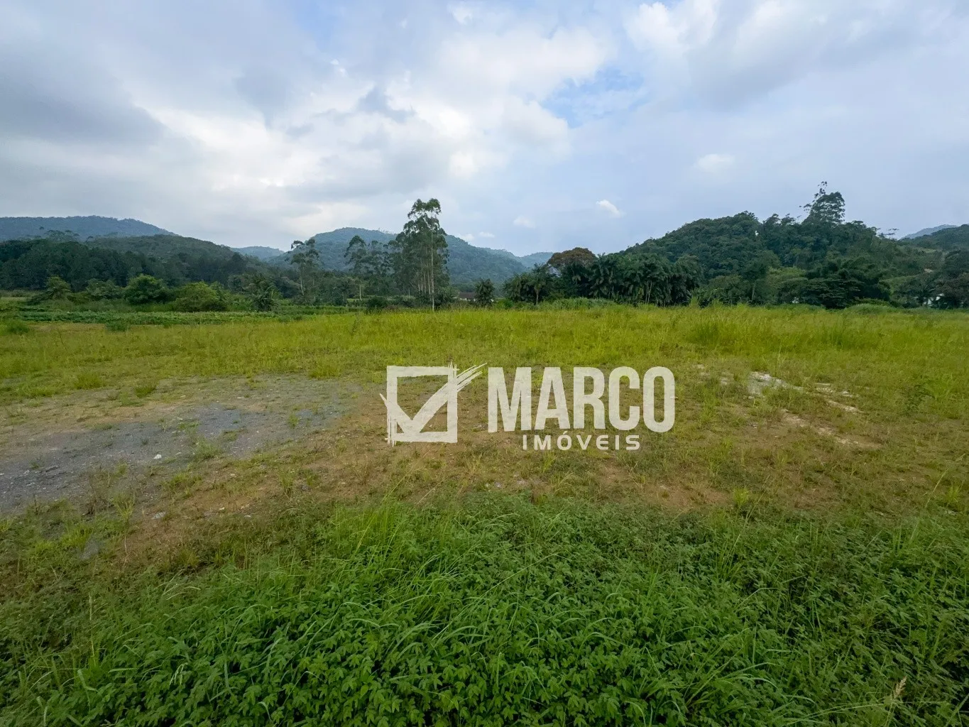 Terreno Amplo Frente Rua em Testo Rega — foto 4