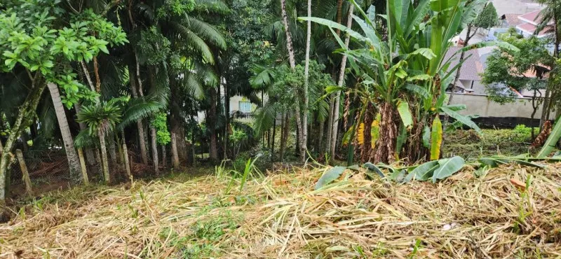 Terreno à venda, 350 m por R$ 100.000,00 - Itoupavazinha - Blumenau/SC — foto 2