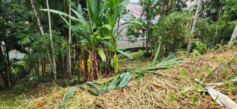 Terreno à venda, 350 m por R$ 100.000,00 - Itoupavazinha - Blumenau/SC — foto 3