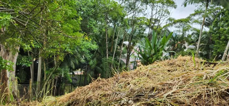 Terreno à venda, 350 m por R$ 100.000,00 - Itoupavazinha - Blumenau/SC — foto 5
