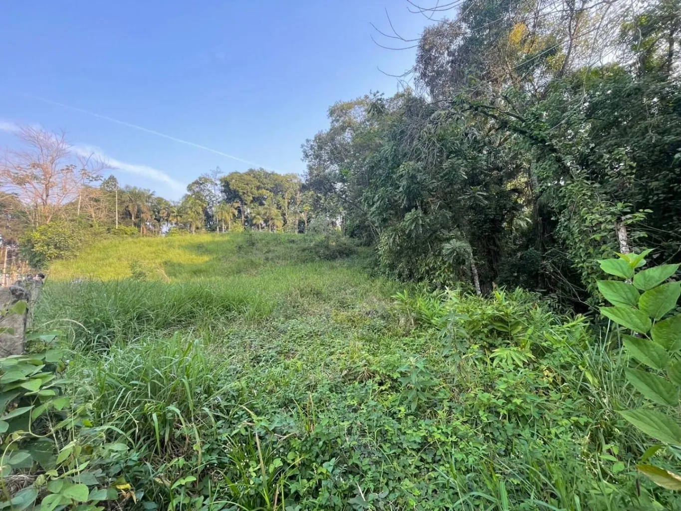 Belo terreno a venda, a 3km da Karsten em Pomerode. — foto 4