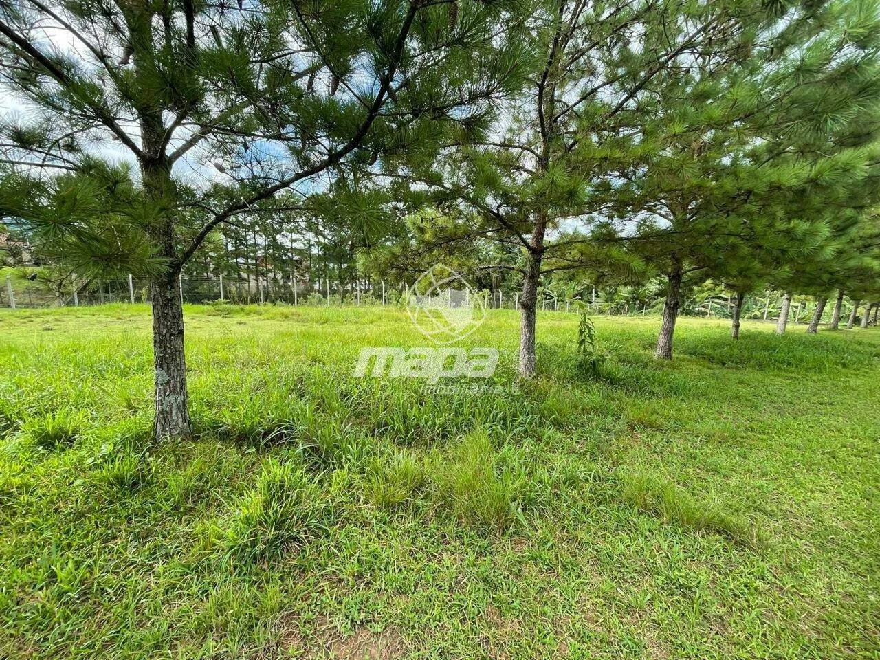 Amplo terreno - foto 1