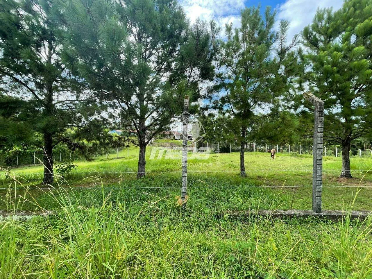 Amplo terreno — foto 2