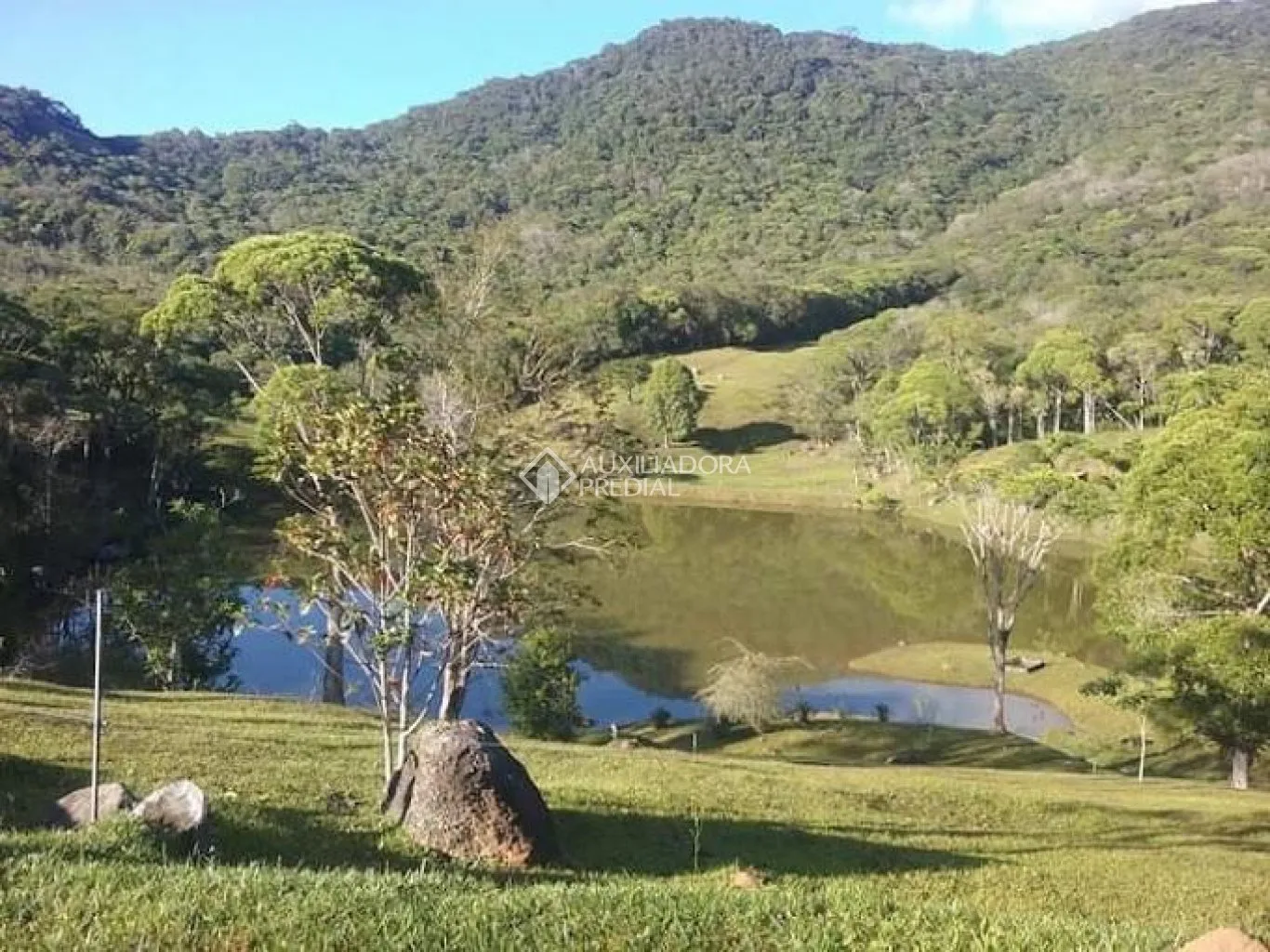 Imóvel - foto 1