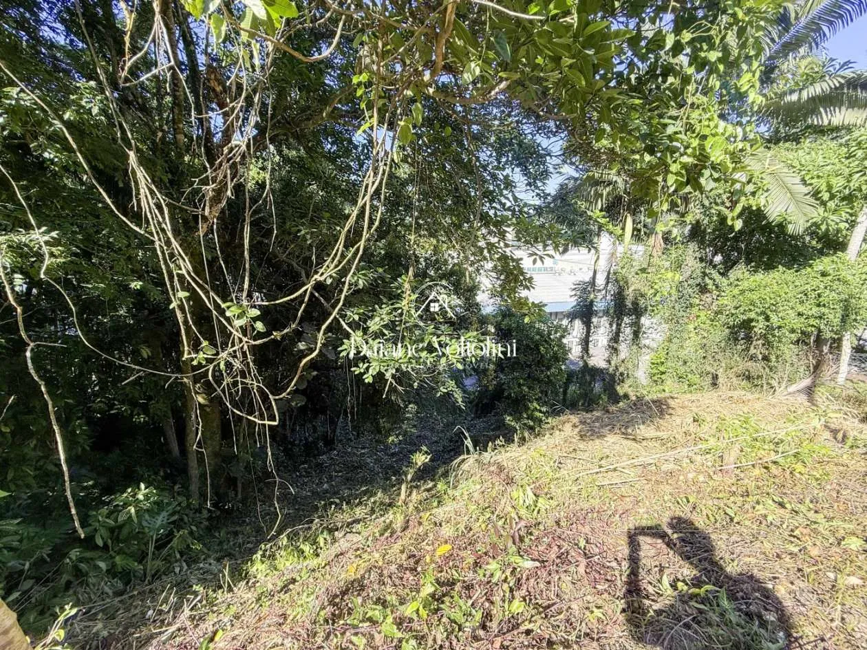 Terreno para Venda em Blumenau, Ponta Aguda — foto 4