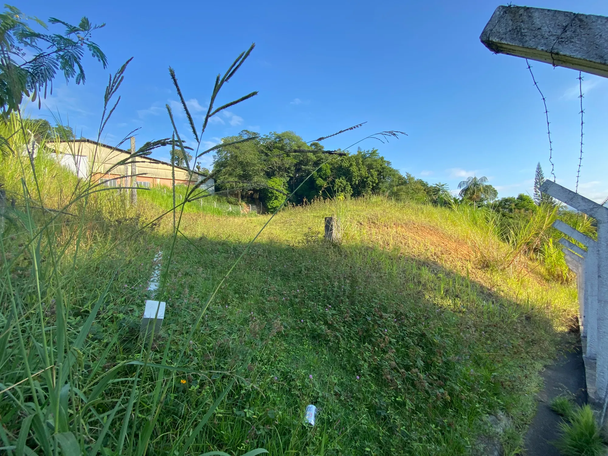 Terreno para Galpão no Passo Manso — foto 4