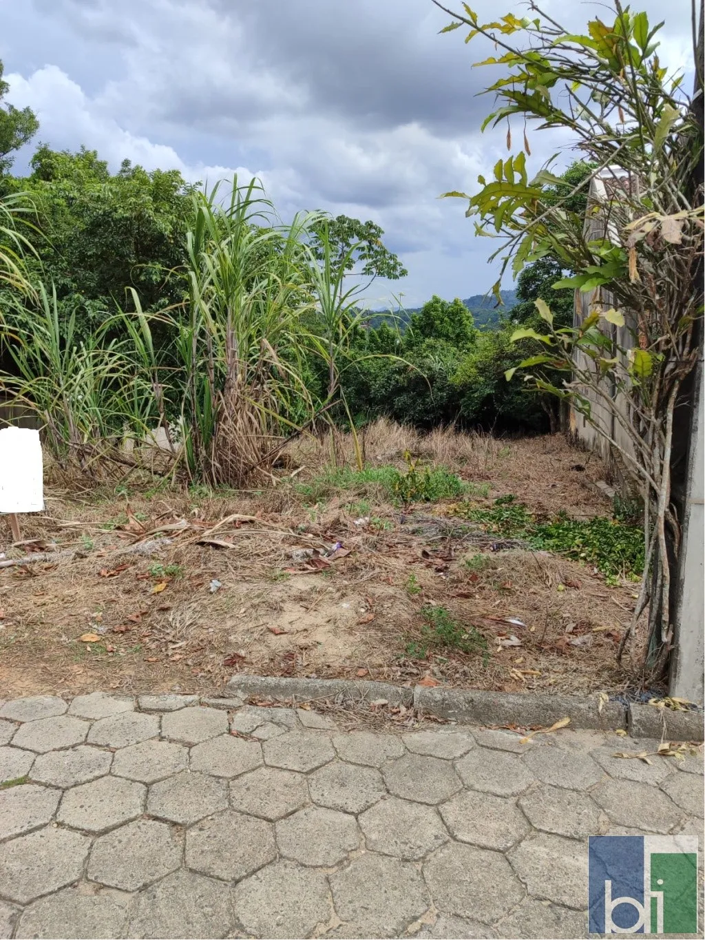 Terreno em transversal da Rua Guilherme Scharf - Itoupava Central — foto 2