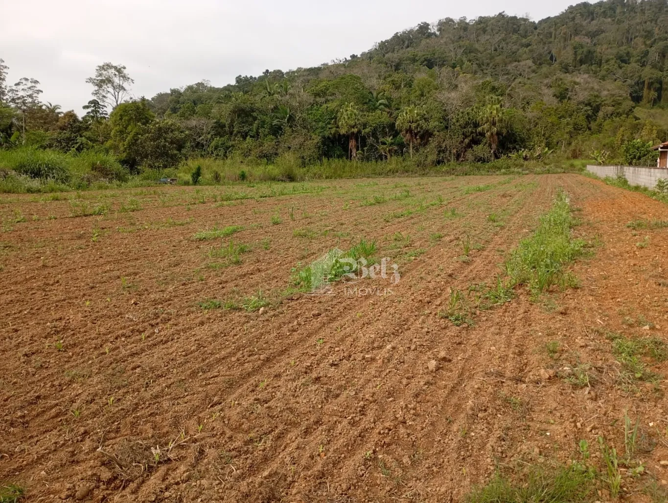 Vende-se Terreno na Rota do Enxaimel Pomerode-SC - foto 1
