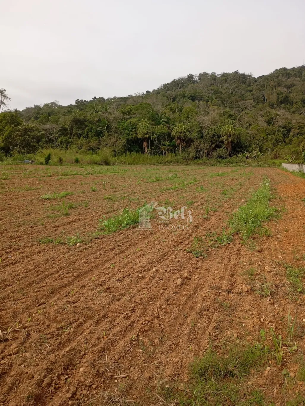 Vende-se Terreno na Rota do Enxaimel Pomerode-SC — foto 2