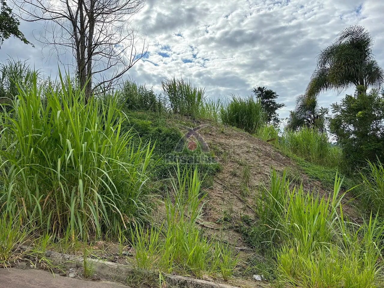 Terreno lote 36 no centro — foto 6