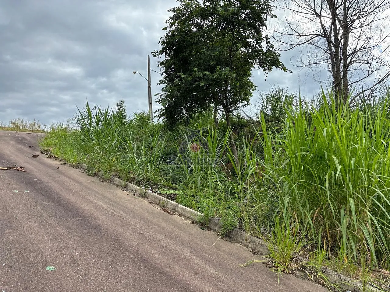 Terreno lote 36 no centro — foto 7
