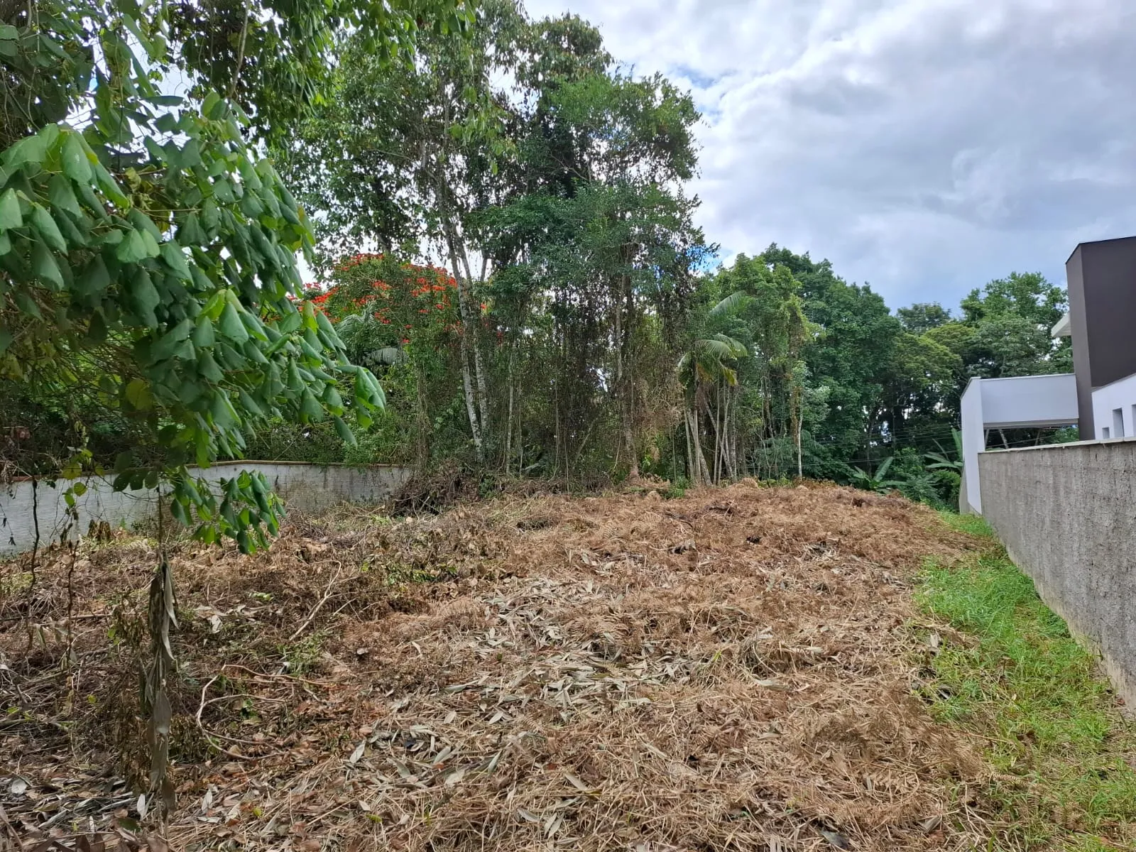 TERRENO PORTAL DA SAXONIA — foto 4