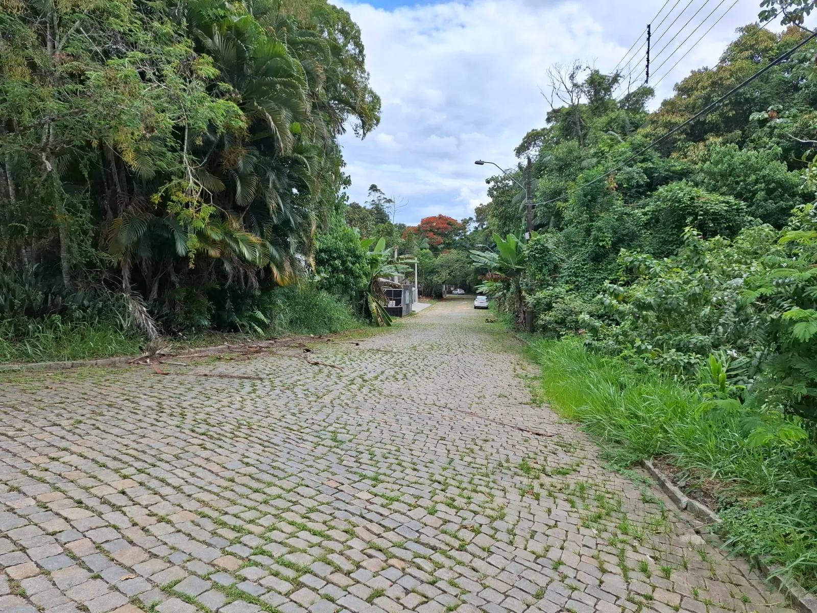 TERRENO PORTAL DA SAXONIA — foto 6