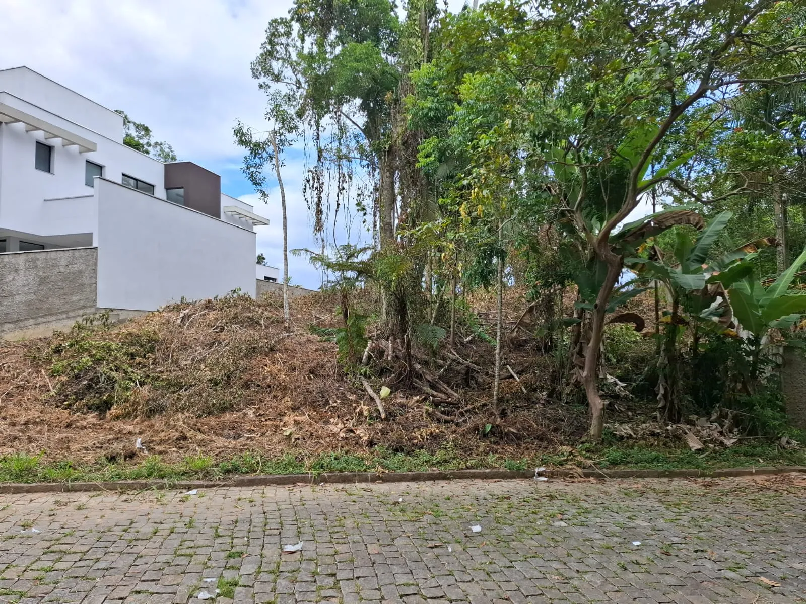 TERRENO PORTAL DA SAXONIA — foto 2