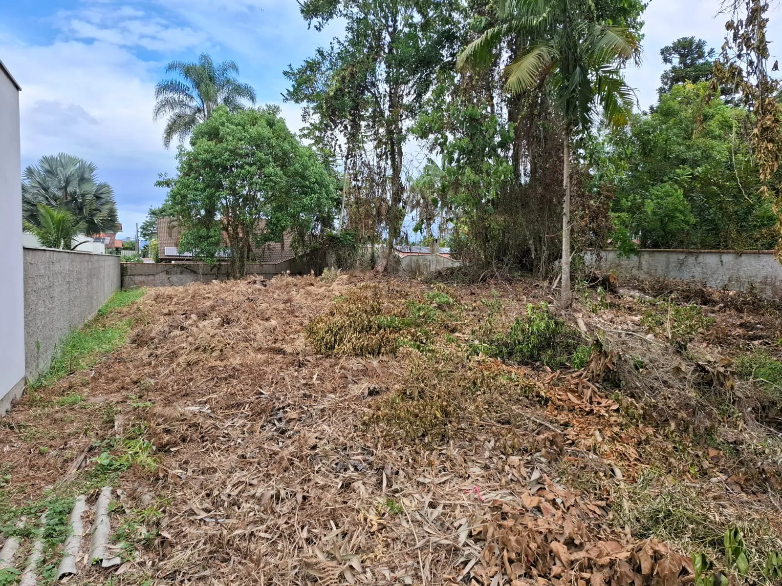 TERRENO PORTAL DA SAXONIA — foto 5