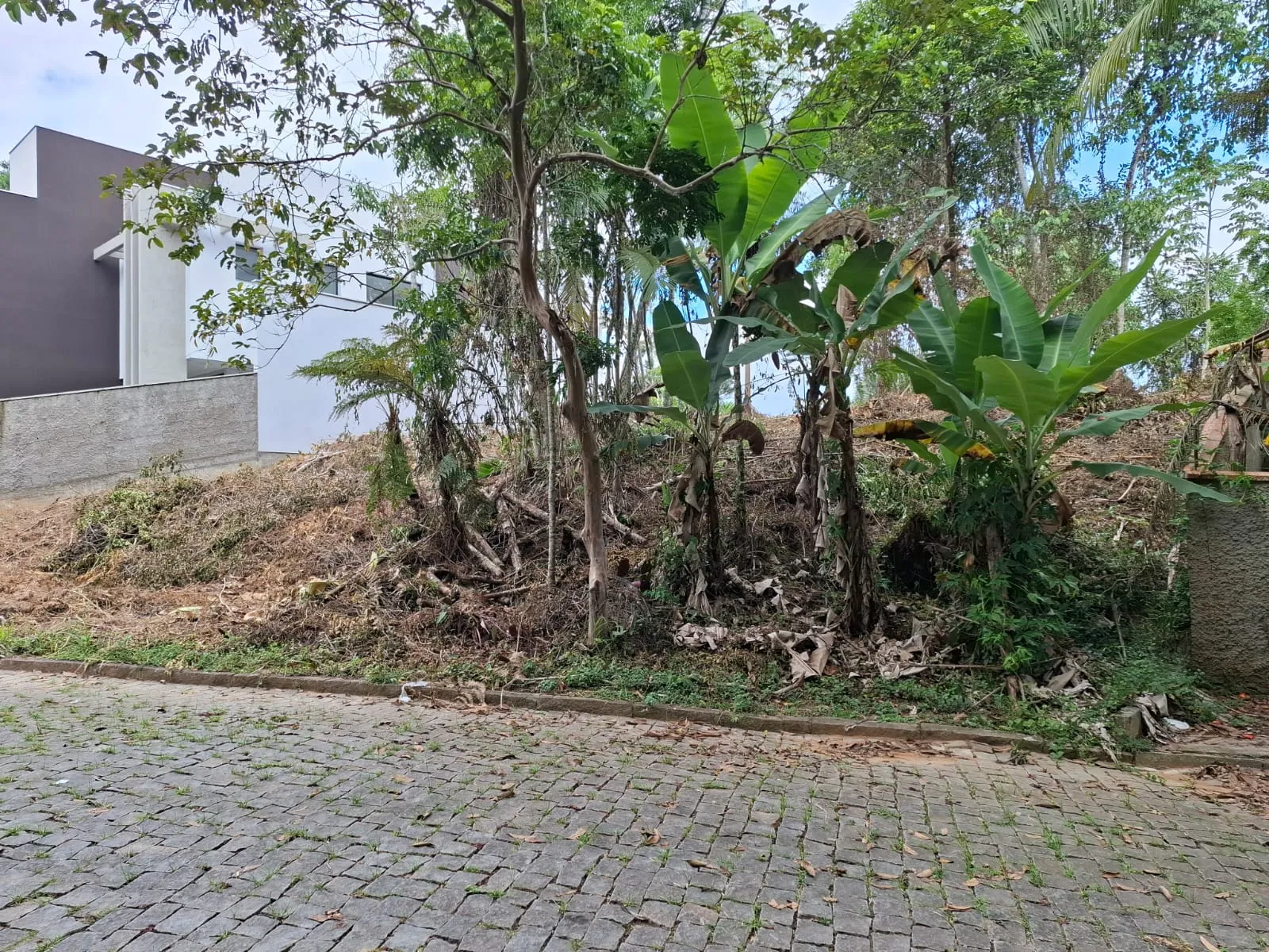 TERRENO PORTAL DA SAXONIA — foto 3