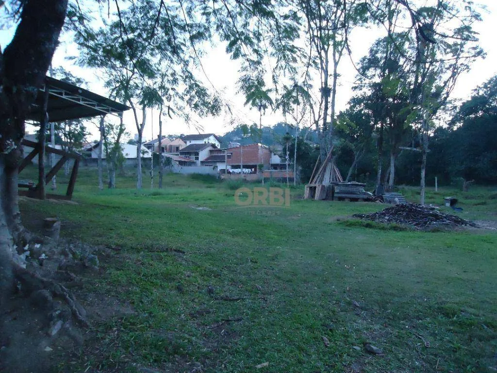 Terreno à venda, 40000 m por R$ 10.500.000,00 - Velha - Blumenau/SC — foto 6