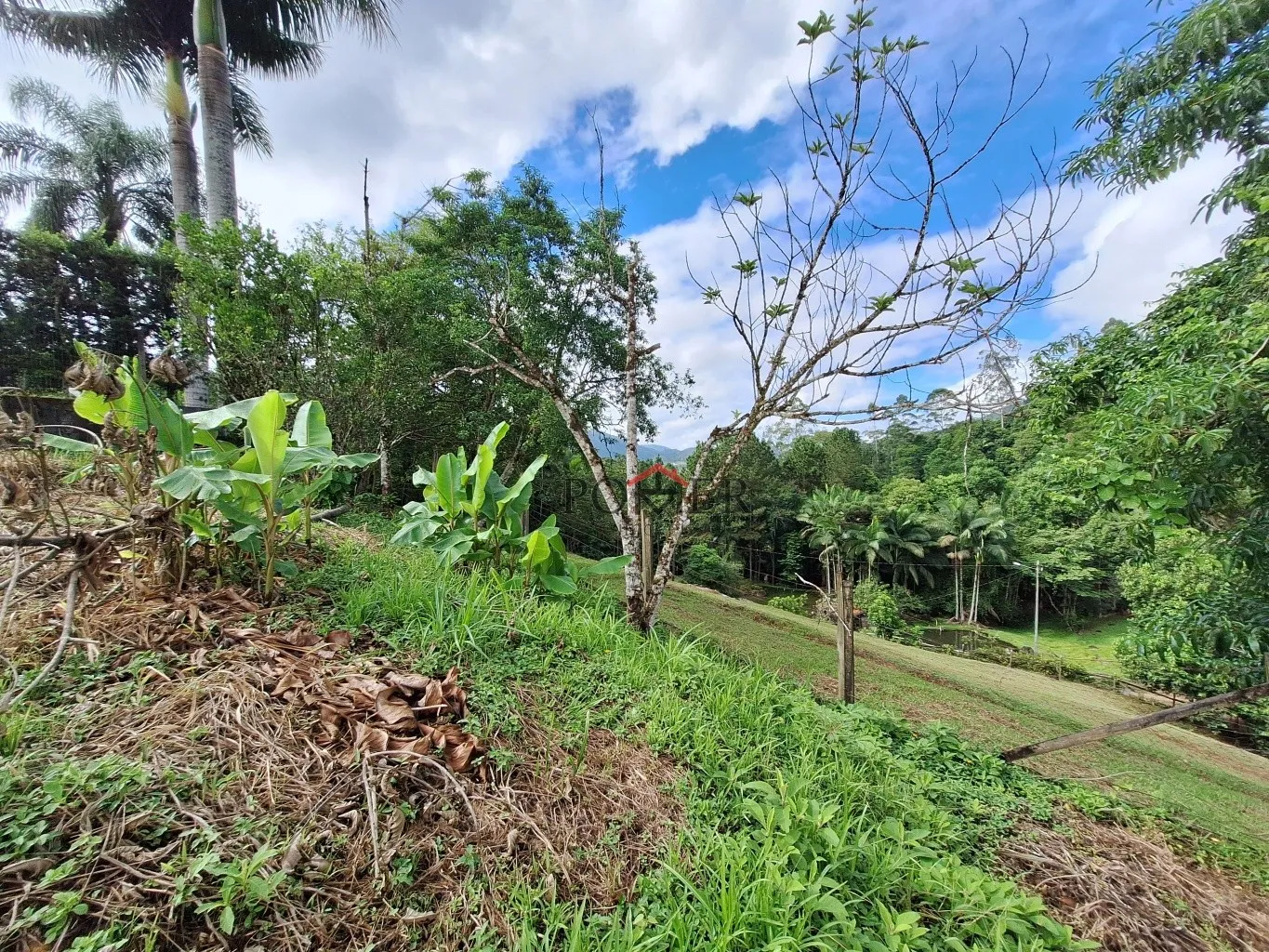 Excelente terreno alto em Pomerode com vista lindíssima no Bairro Ribeirão Areia com 475,57m, via asfaltada tranquila e sem saída. — foto 3