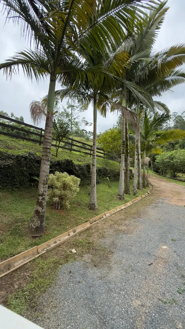 OPORTUNIDADE DE NEGOCIO !!! — foto 2