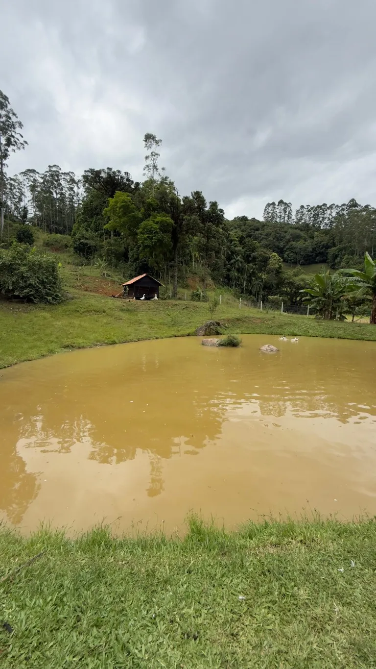 OPORTUNIDADE DE NEGOCIO !!! — foto 3