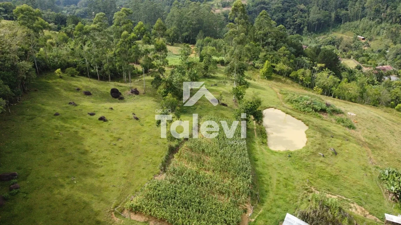 Sítio com 2 Casas, Lagoas e Riacho em Pomerode Fundos - Alto Potencial Turístico - foto 1