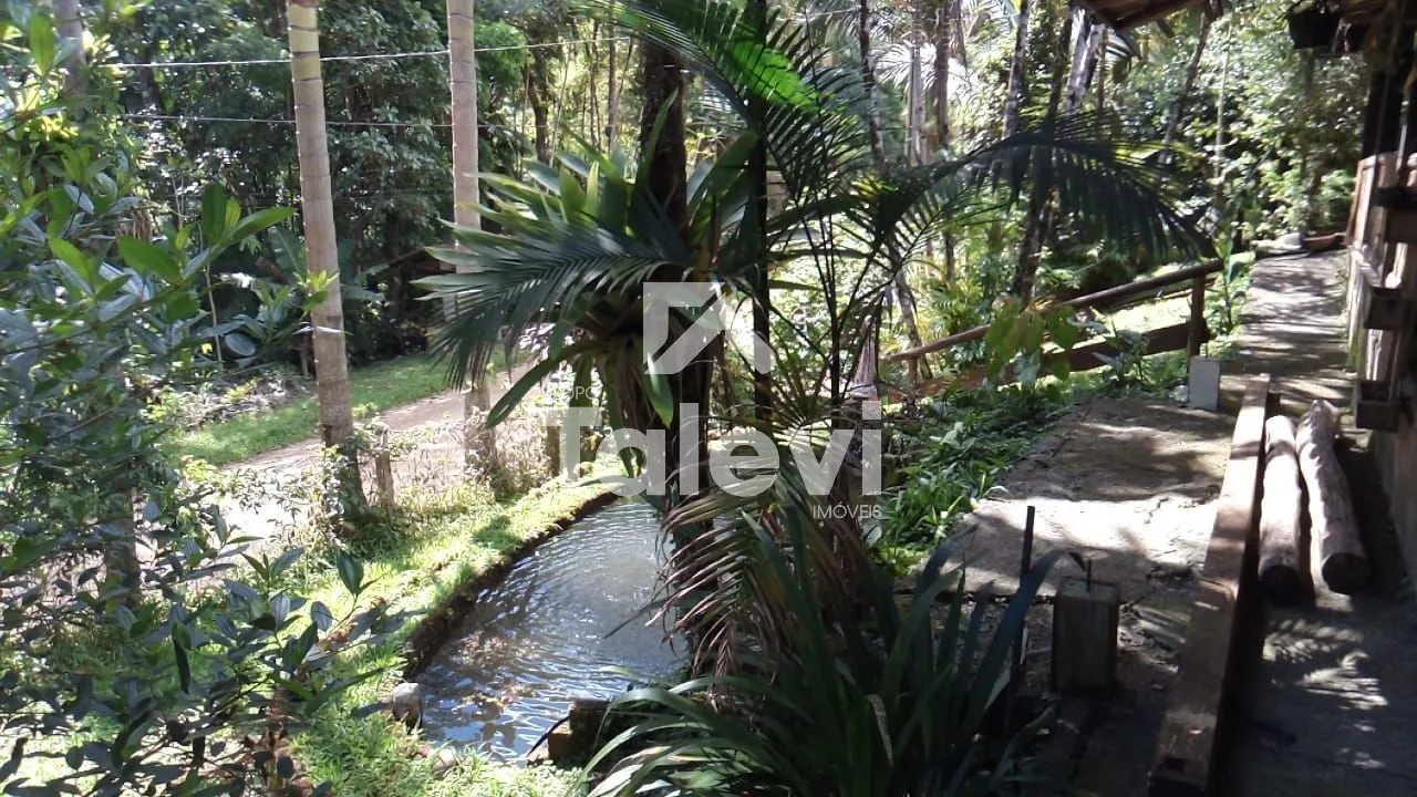 Sítio com 2 Casas, Lagoas e Riacho em Pomerode Fundos - Alto Potencial Turístico — foto 2