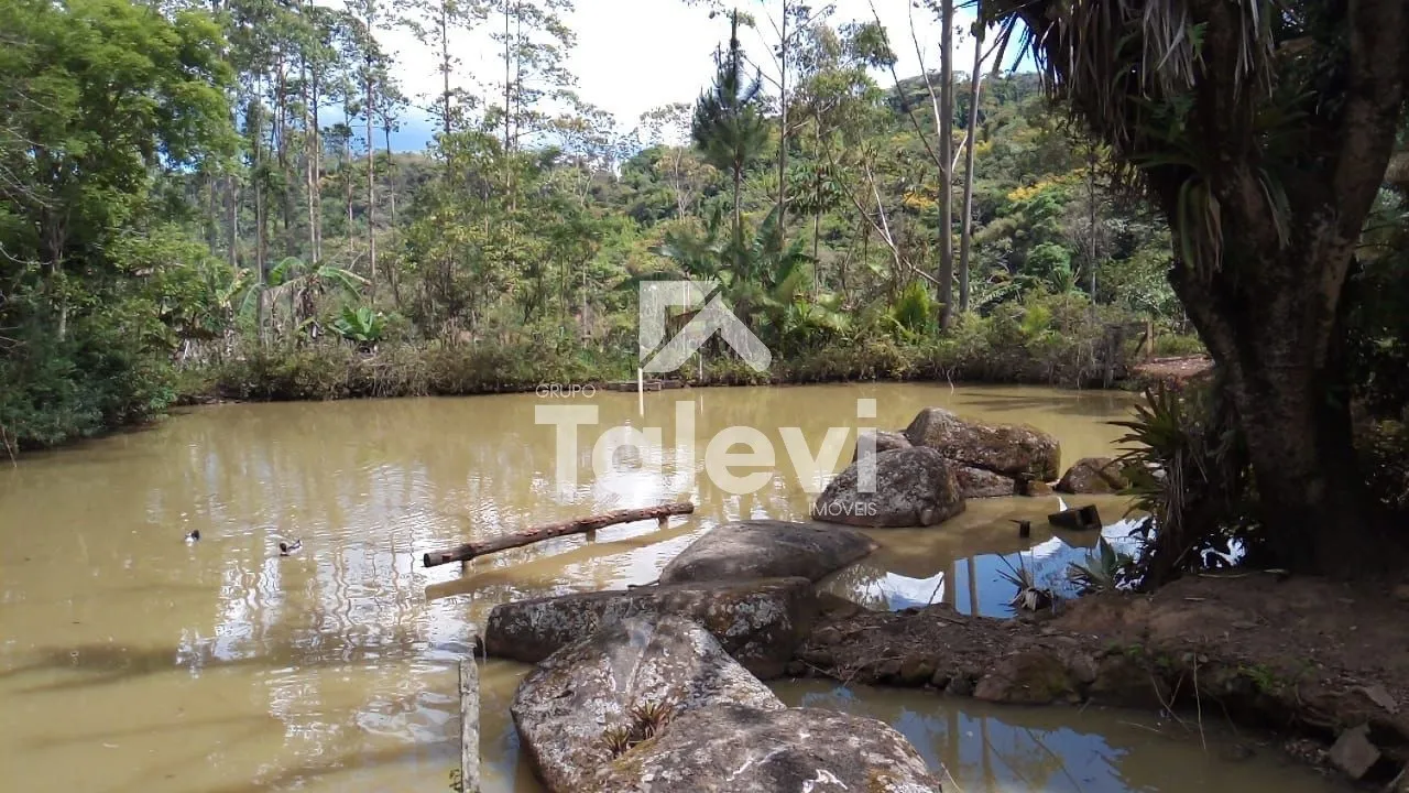 Sítio com 2 Casas, Lagoas e Riacho em Pomerode Fundos - Alto Potencial Turístico — foto 3
