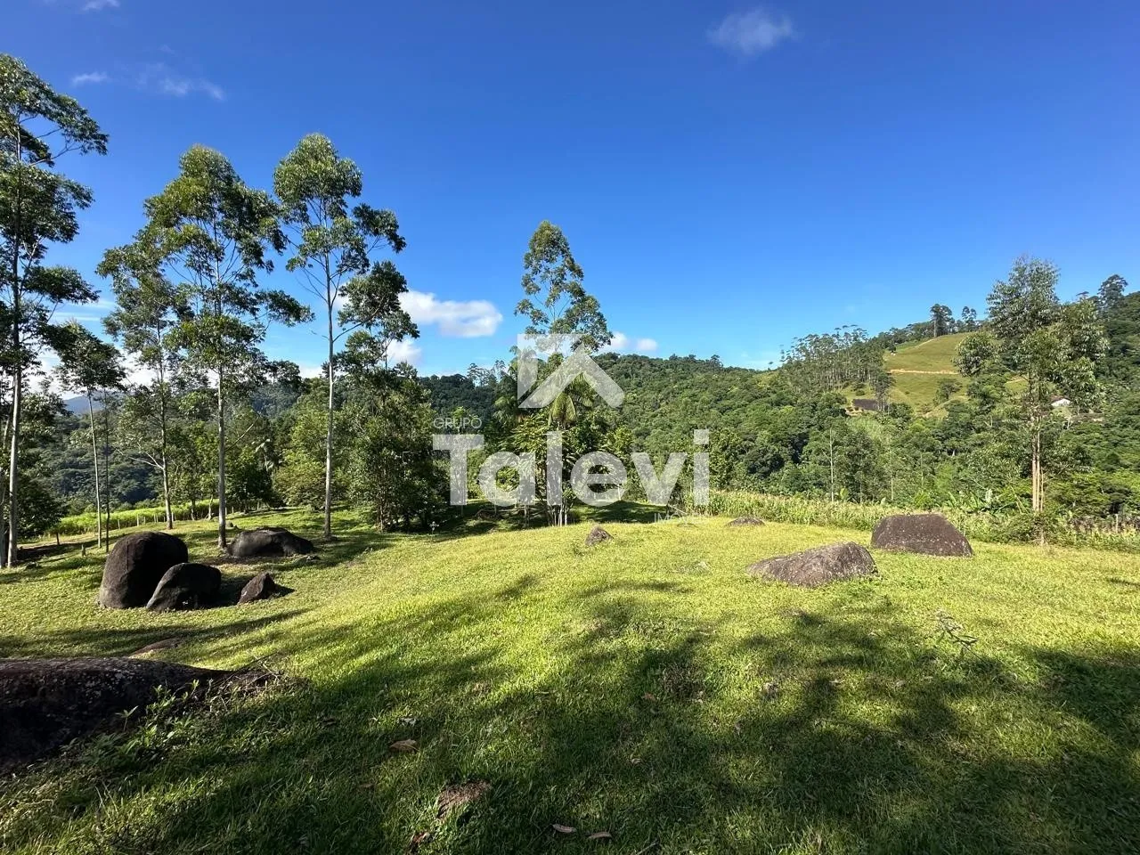Sítio com 2 Casas, Lagoas e Riacho em Pomerode Fundos - Alto Potencial Turístico — foto 5