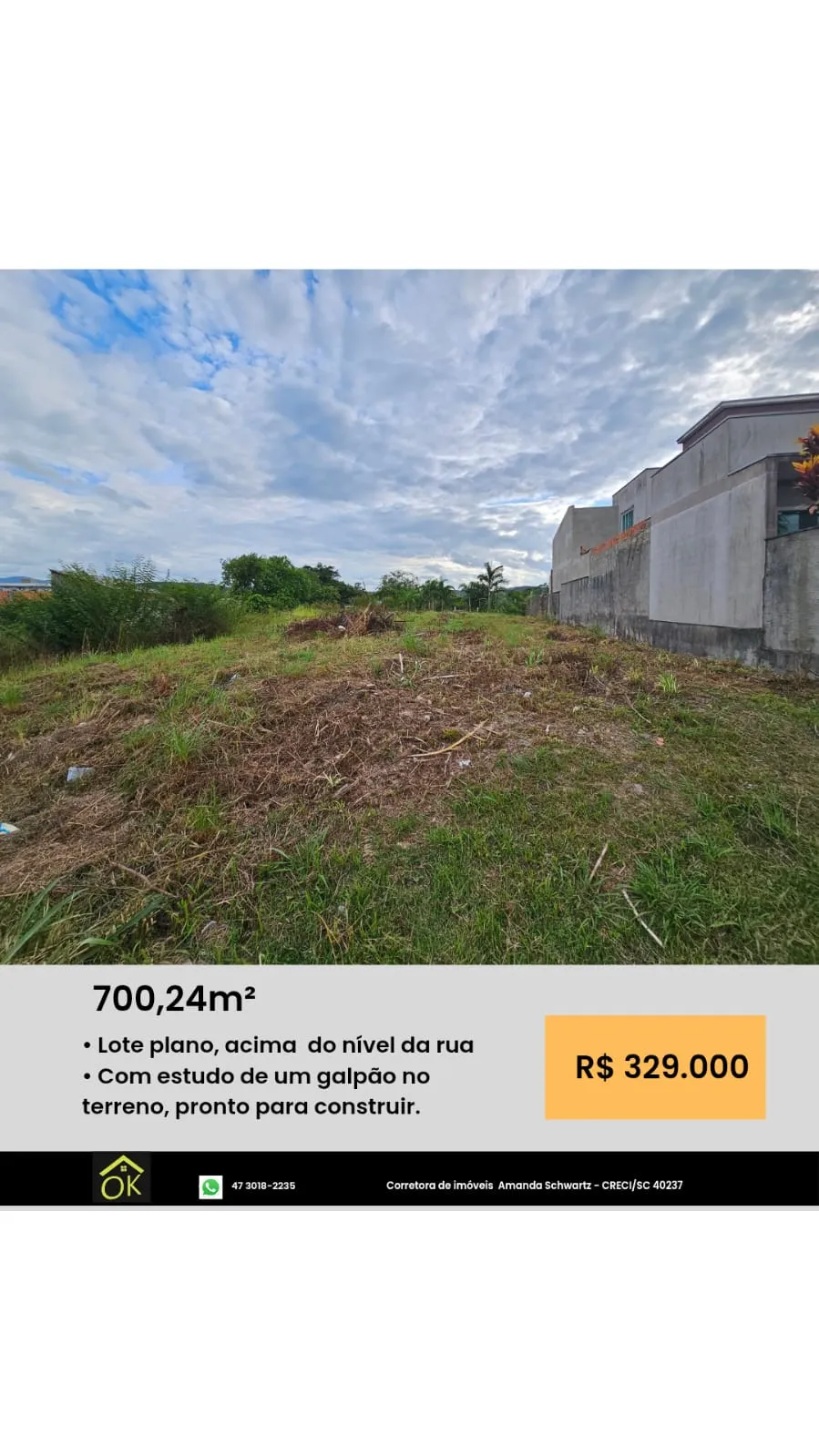 TERRENO PLANO ACIMA DO NIVEL DA RUA - foto 1