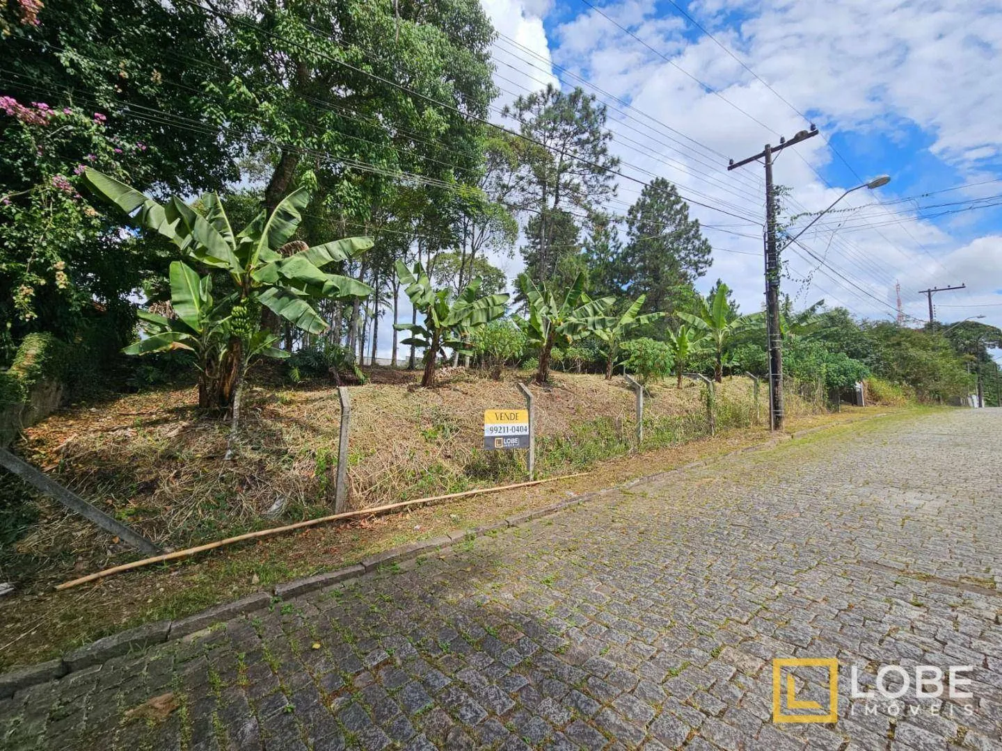 Terreno Plano, à venda, 1459 m - Ponta Aguda - Blumenau/SC — foto 2