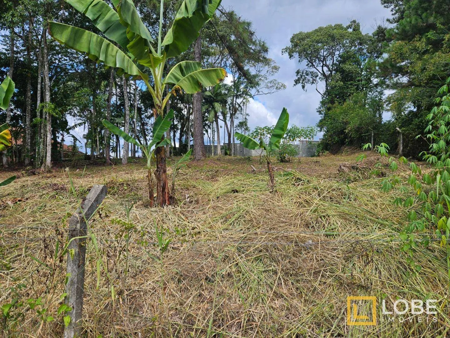 Terreno Plano, à venda, 1459 m - Ponta Aguda - Blumenau/SC — foto 3
