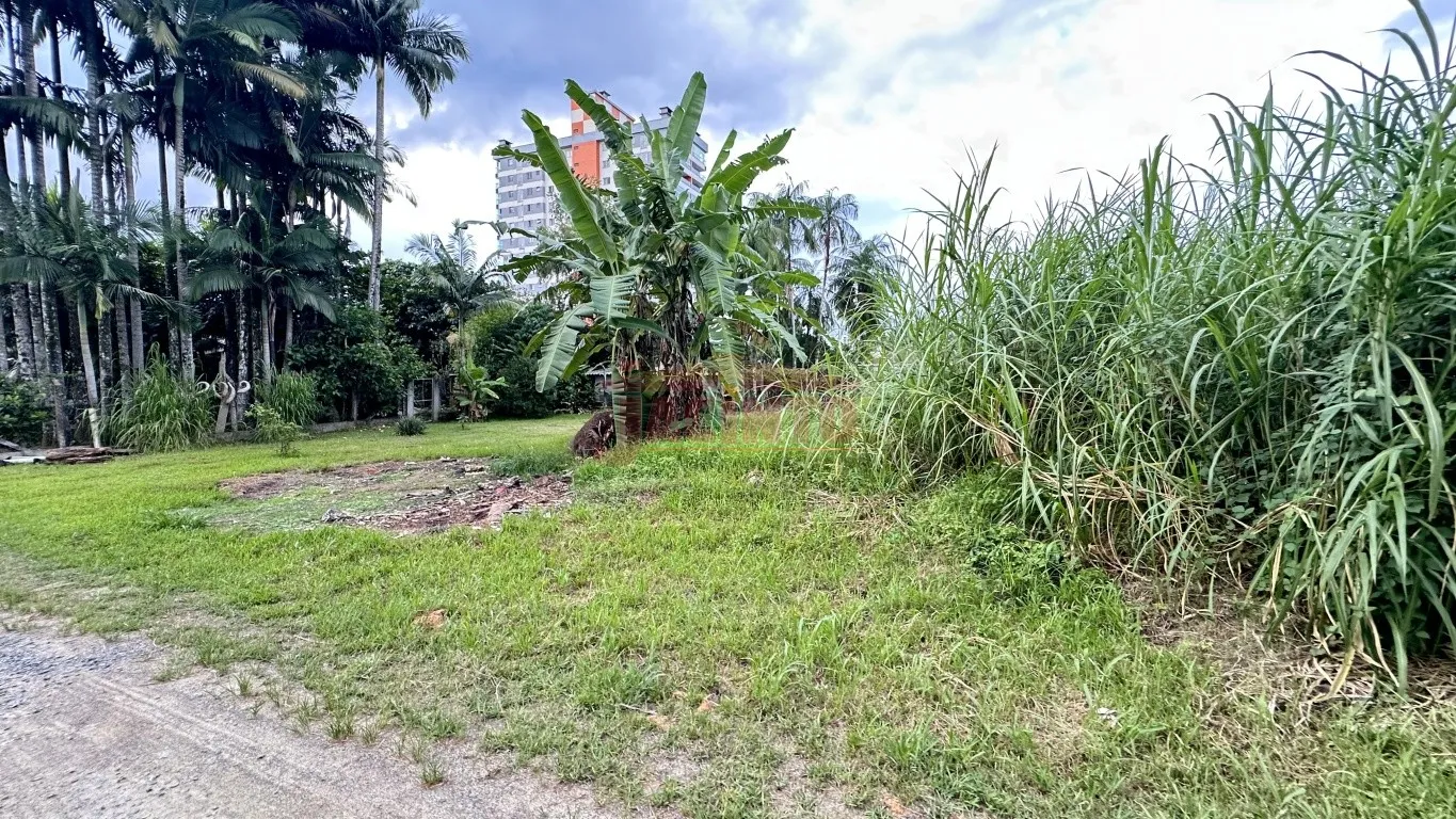 Excelente oportunidade para construtores e investidores! Terreno com 2.907 m na Itoupava Central. — foto 3