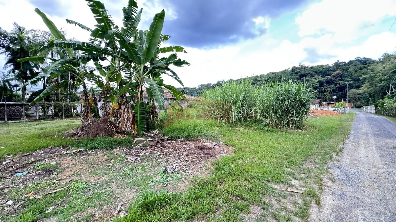 Excelente oportunidade para construtores e investidores! Terreno com 2.907 m na Itoupava Central. — foto 6